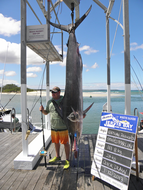 ANGLER: Nathan Philips SPECIES: Striped Marlin  WEIGHT: 111.8 Kg. LURE: JB Lures,  Pink Evil Chopper
